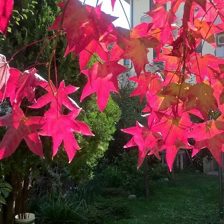 Apartmán Apdf Con Giardino San Salvo