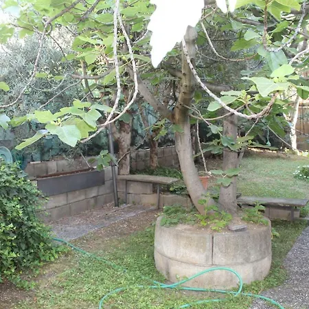 Apdf Con Giardino Apartmán San Salvo