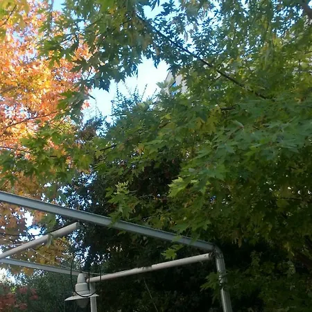 Lägenhet Apdf Con Giardino