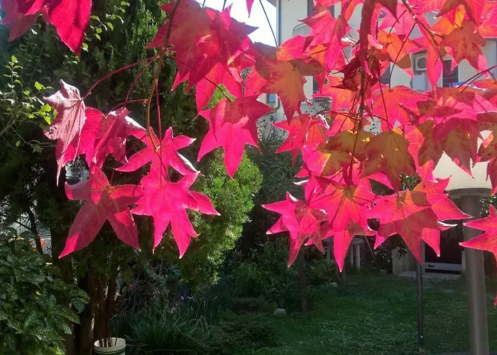 Apartment Apdf Con Giardino San Salvo