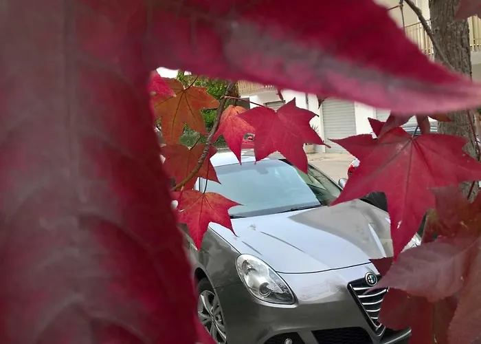 Apartment Apdf Con Giardino